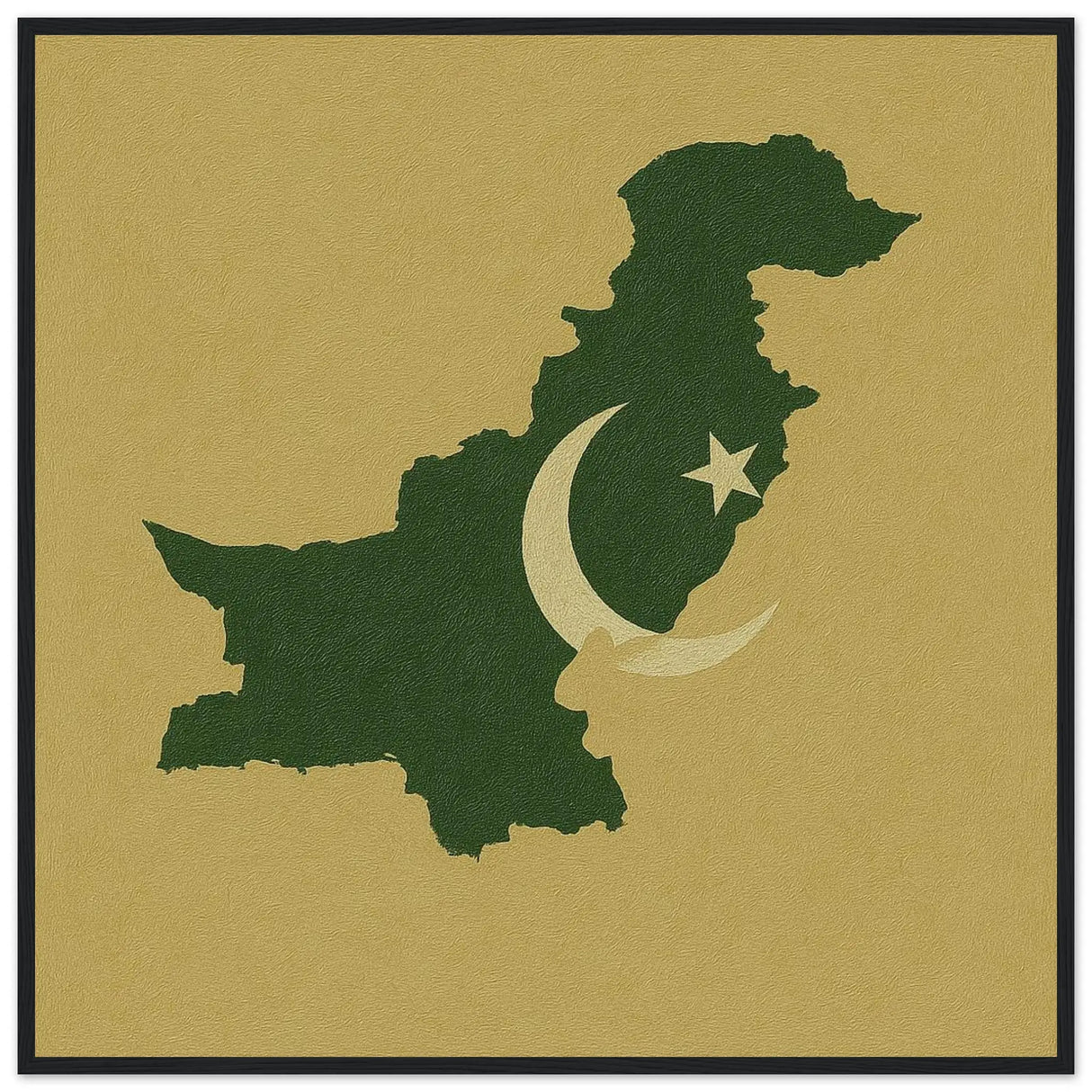 Cadre drapeau pakistan bois affiche encadrée élégante