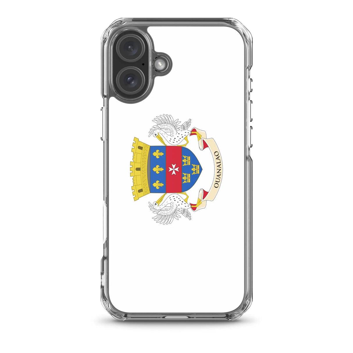Coque iphone drapeau saint-barthélemy souple antichoc