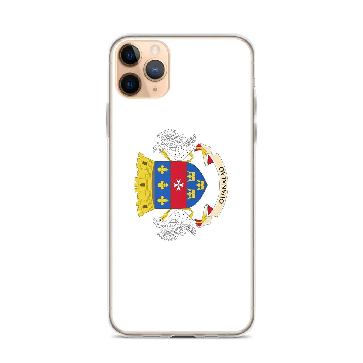 Coque iphone drapeau saint-barthélemy souple antichoc