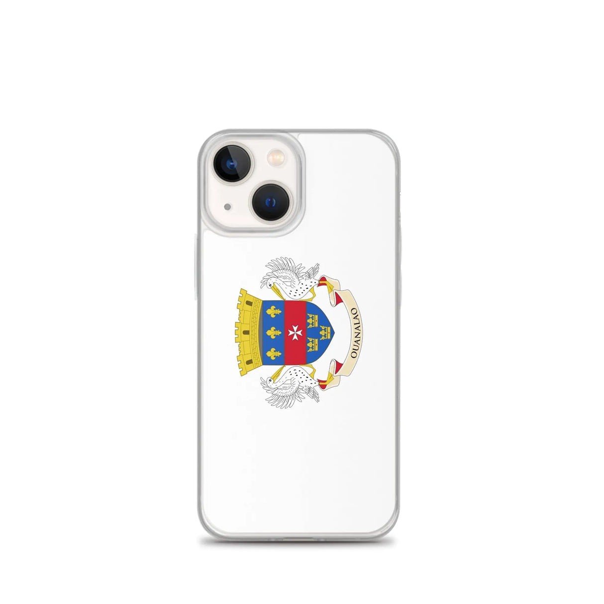 Coque iphone drapeau saint-barthélemy souple antichoc
