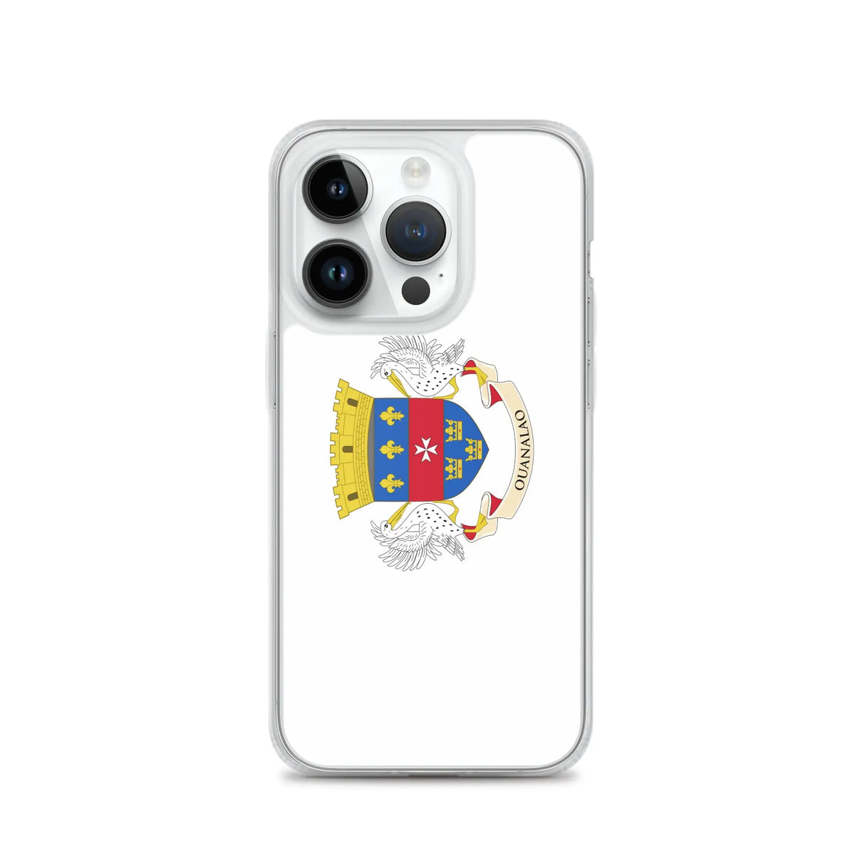 Coque iphone drapeau saint-barthélemy souple antichoc