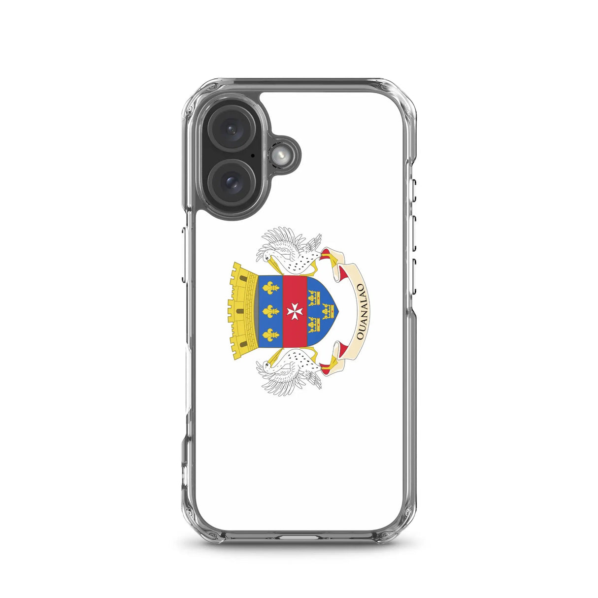 Coque iphone drapeau saint-barthélemy souple antichoc