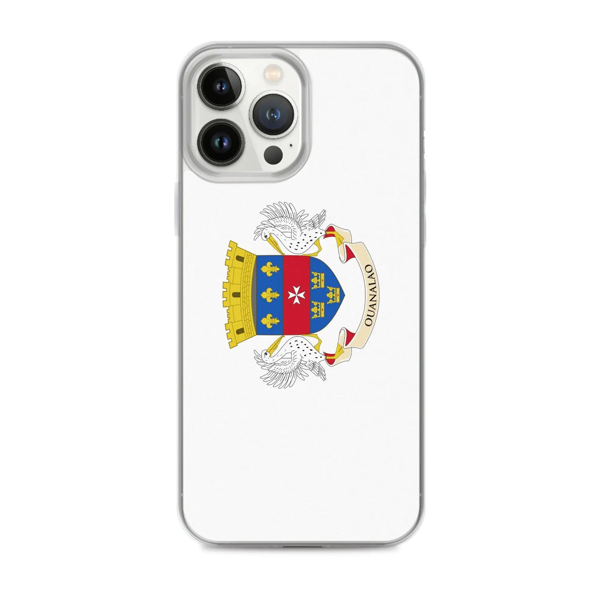 Coque iphone drapeau saint-barthélemy souple antichoc
