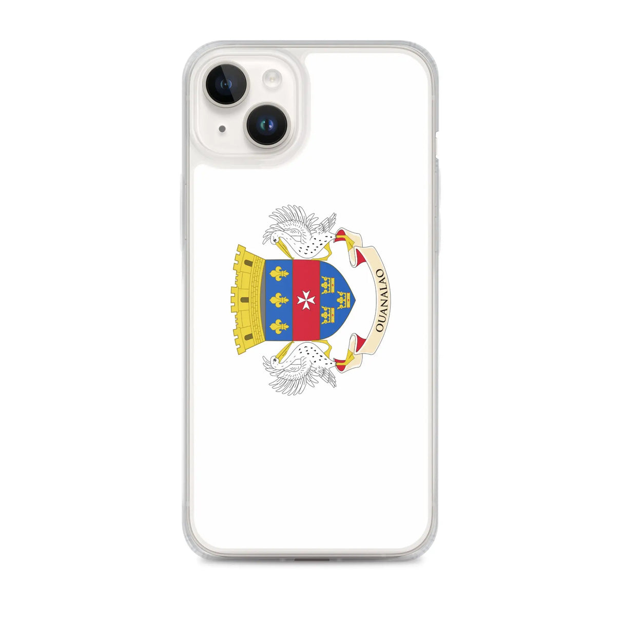 Coque iphone drapeau saint-barthélemy souple antichoc