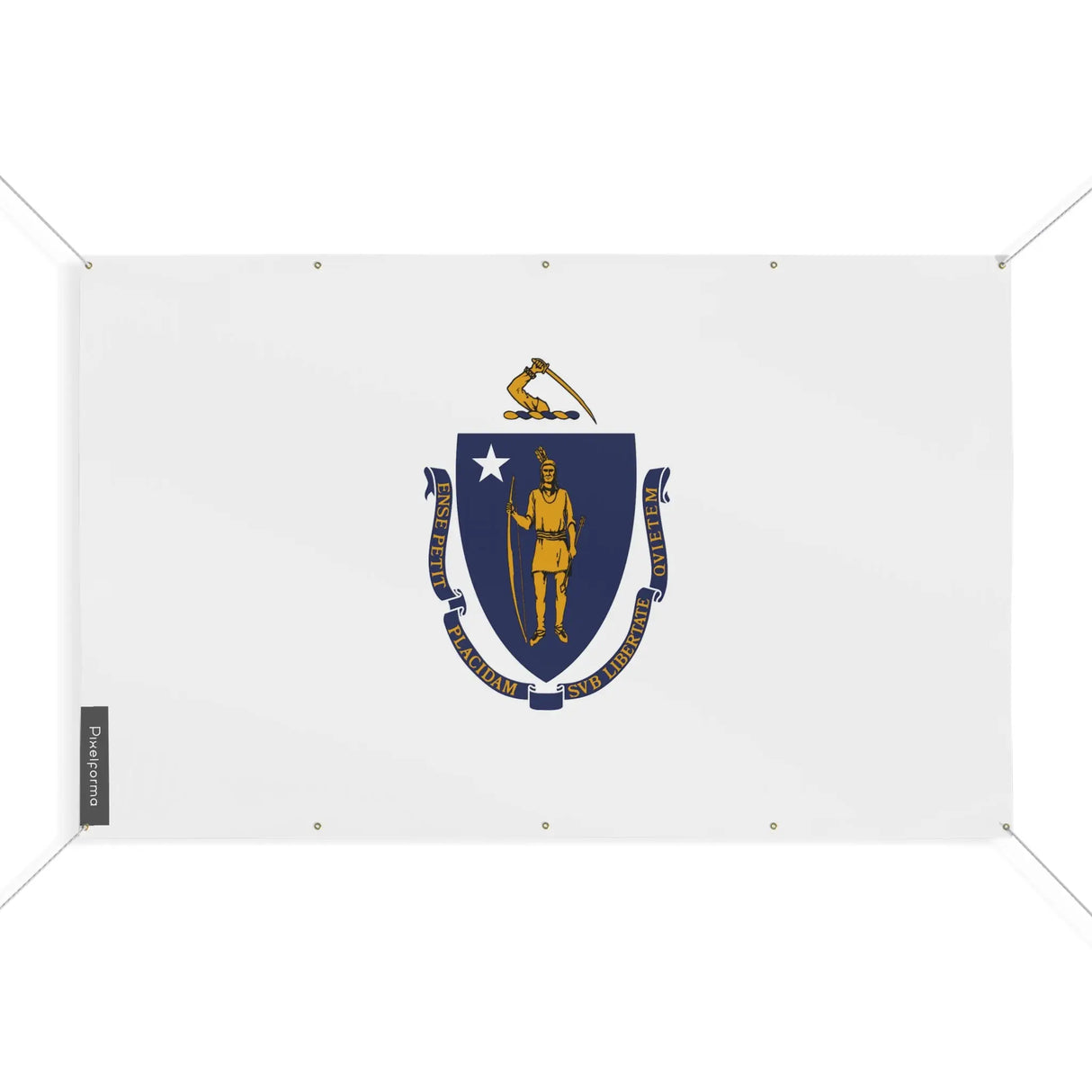 Mini drapeau massachusetts polyester résistant aux intempéries