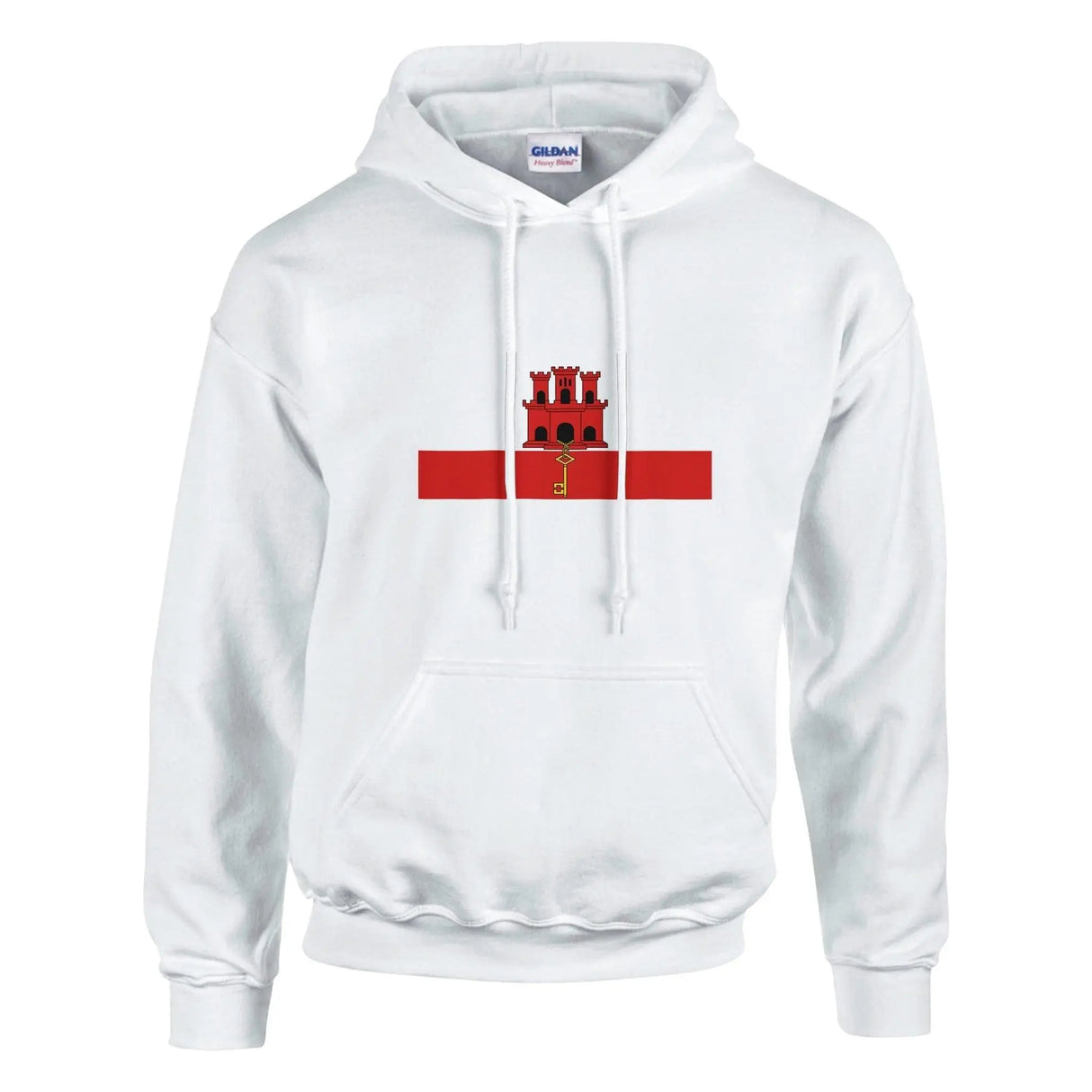 Sweat à capuche gibraltar coton mélangé broderie couleur