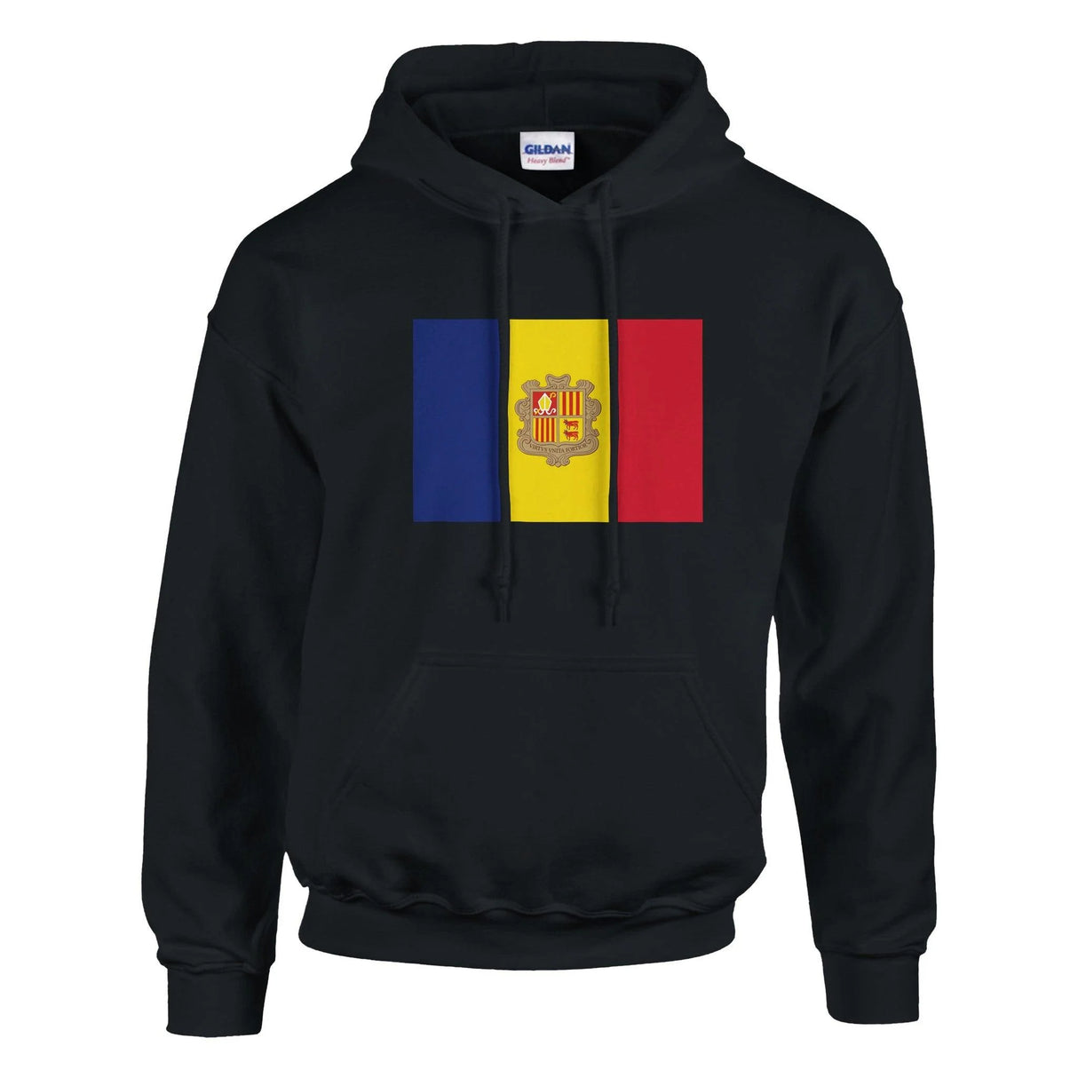 Sweat à capuche moldavie coton mélangé broderie confort