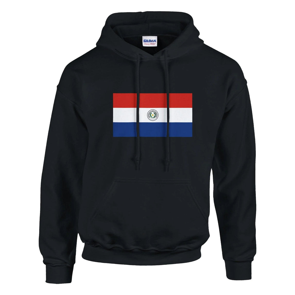 Sweat à capuche paraguay coton mélangé broderie confort