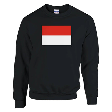 Sweat-shirt drapeau indonésie coton mélangé brodé doux