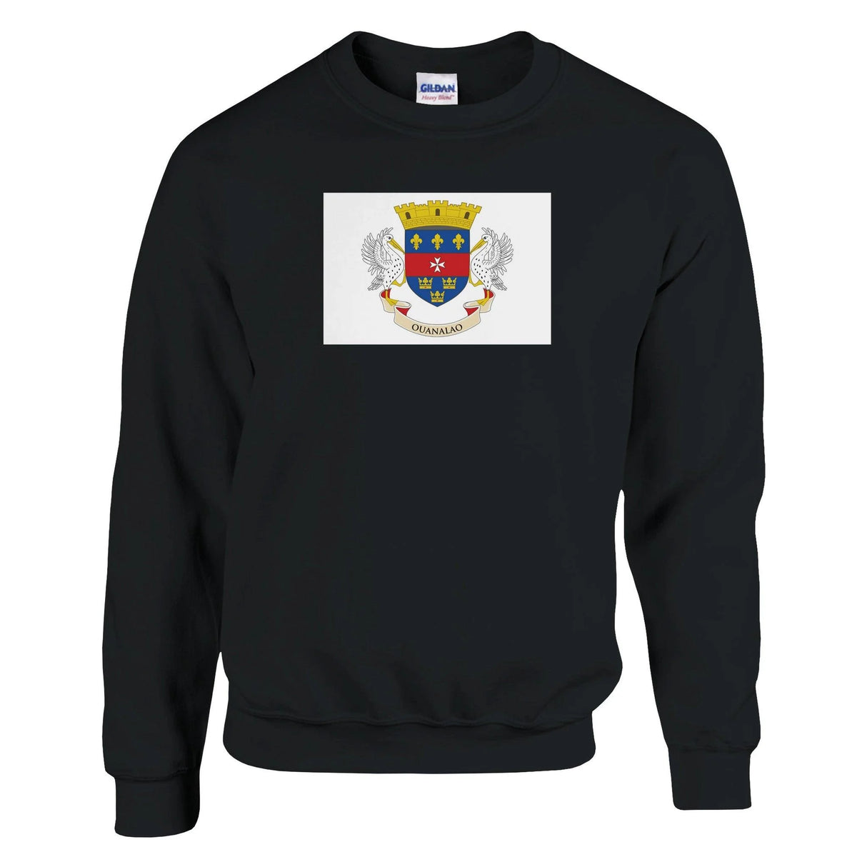 Sweat-shirt saint-barthélemy coton mélangé brodé doux