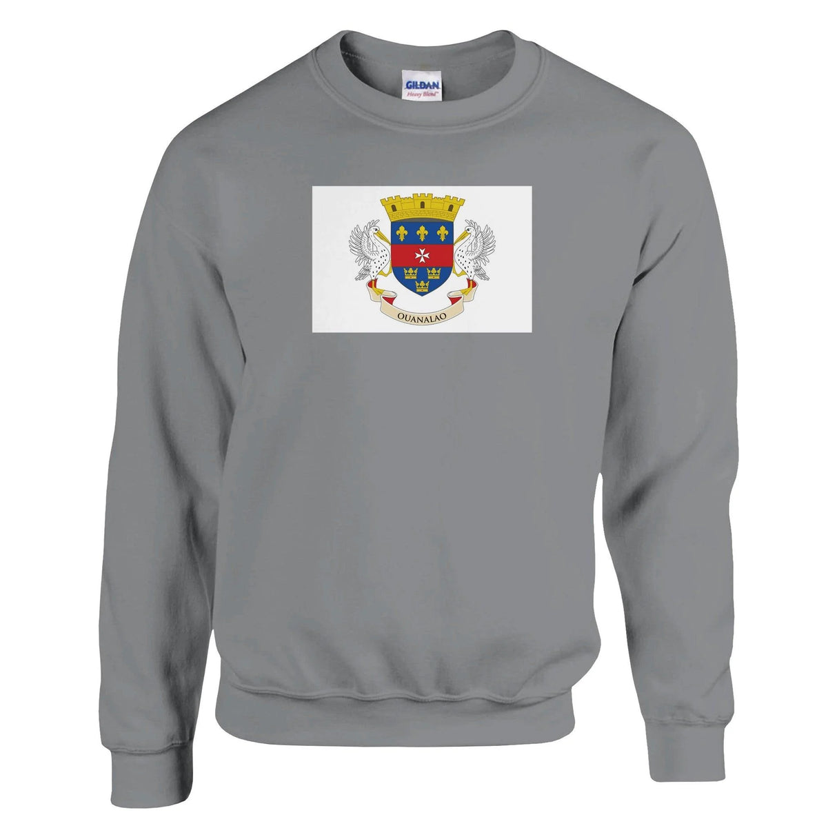 Sweat-shirt saint-barthélemy coton mélangé brodé doux