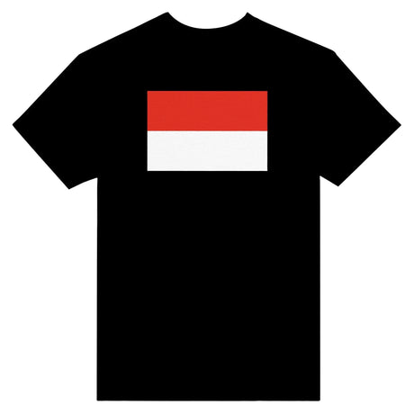 T-shirt drapeau indonésie brodé en coton mélangé