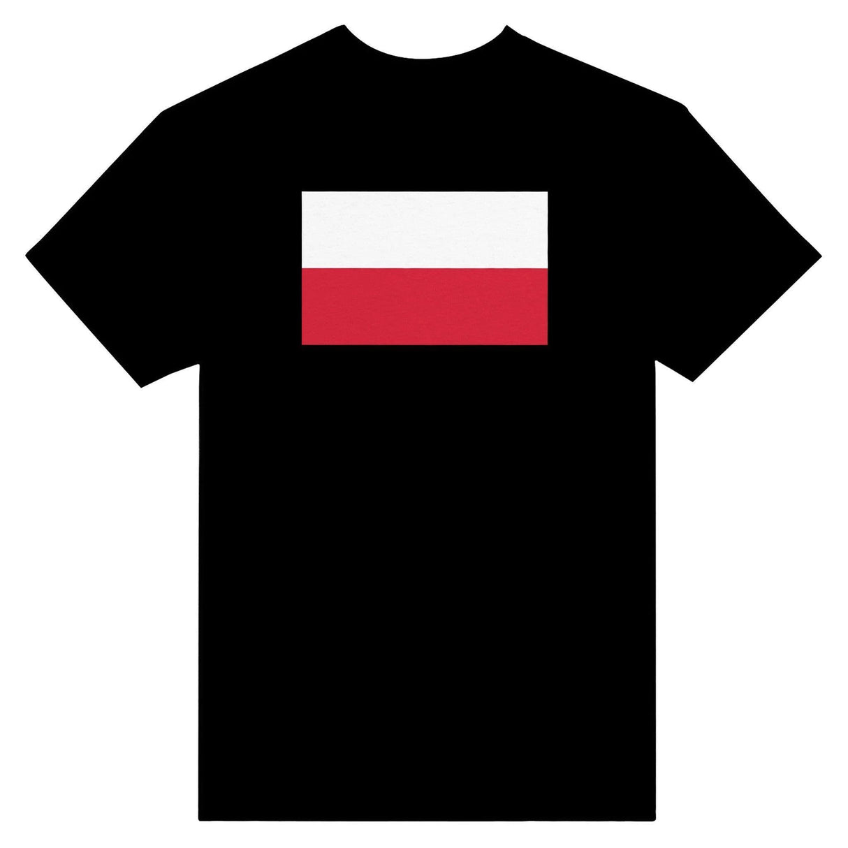 T-shirt drapeau pologne brodé en coton mélangé élégant