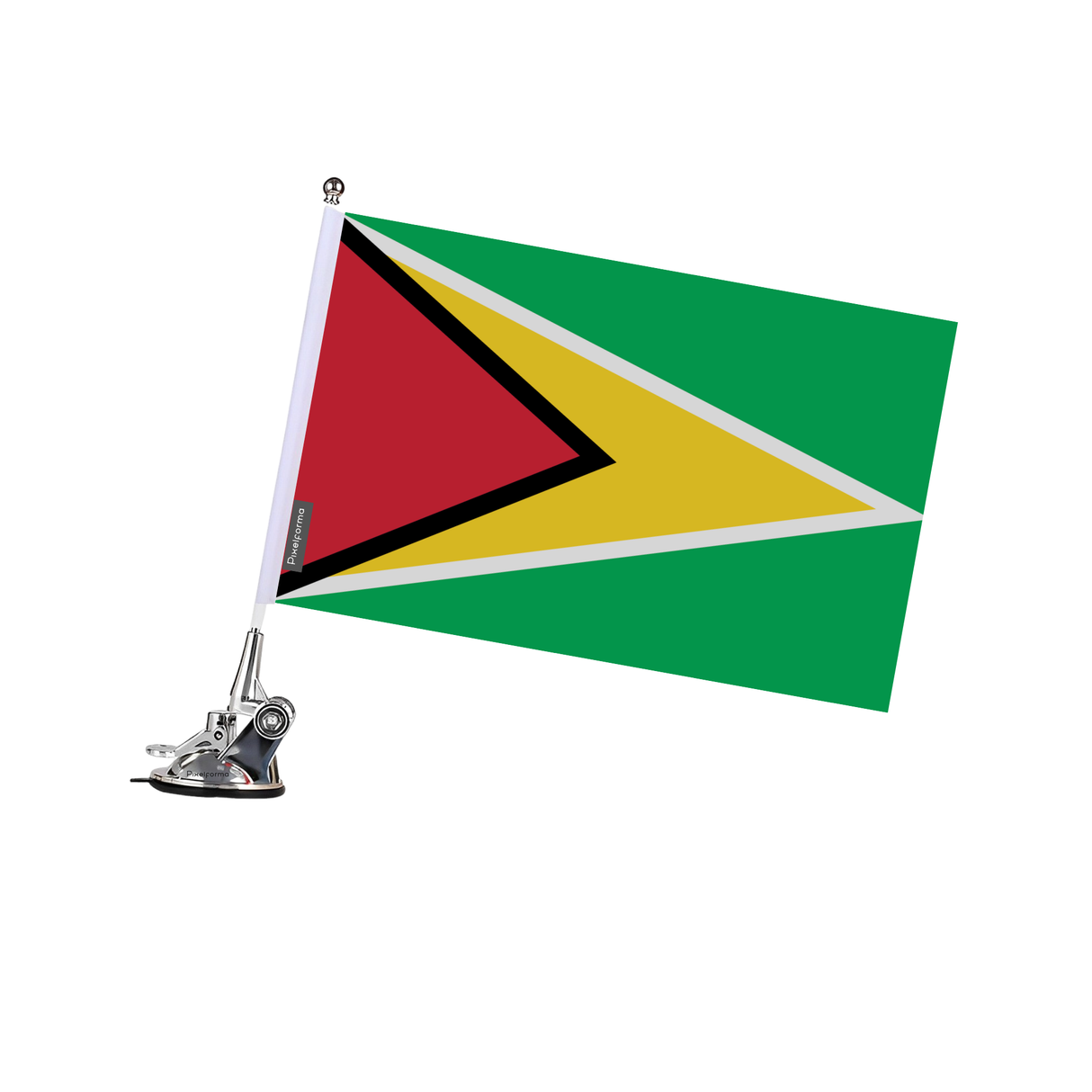 Poste de ventosa con bandera de Guyana