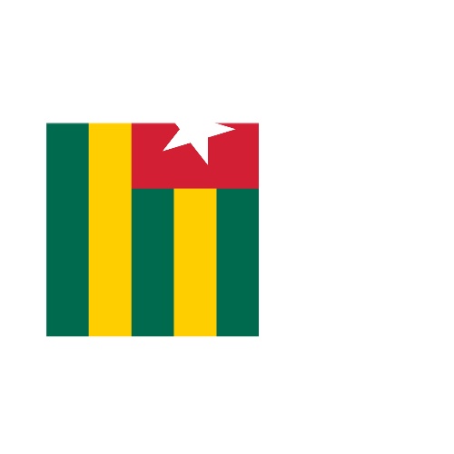 Fanion Table Drapeau Togo en Polyester