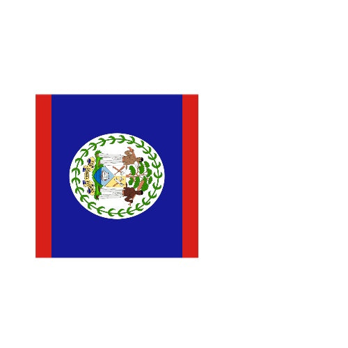 Fanion Table Drapeau Belize en Polyester