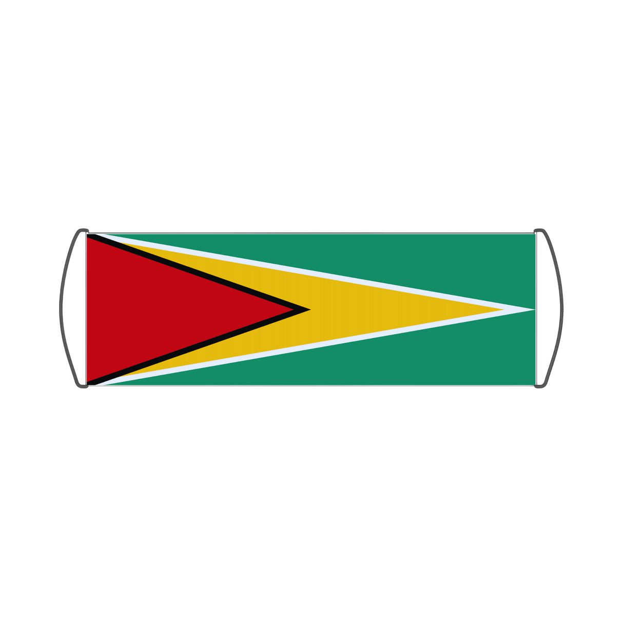 Bannière de défilement Drapeau du Guyana - Pixelforma 