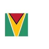 Fanion Table Drapeau Guyana en Polyester