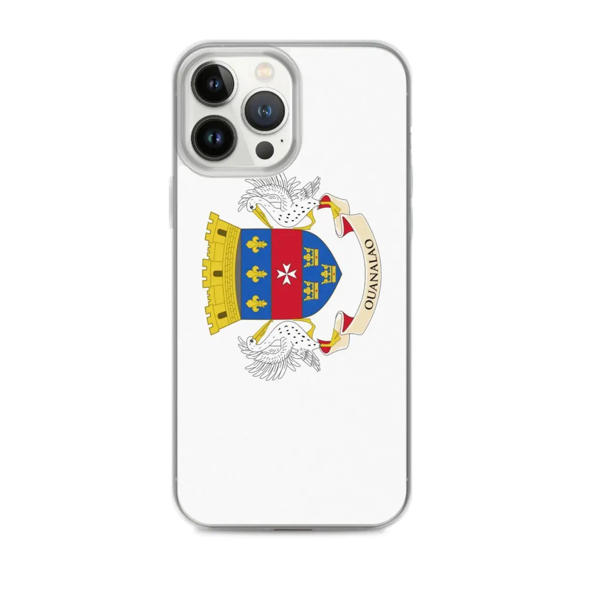 Coque de Télephone Drapeau de Saint-Barthélemy - Pixelforma 