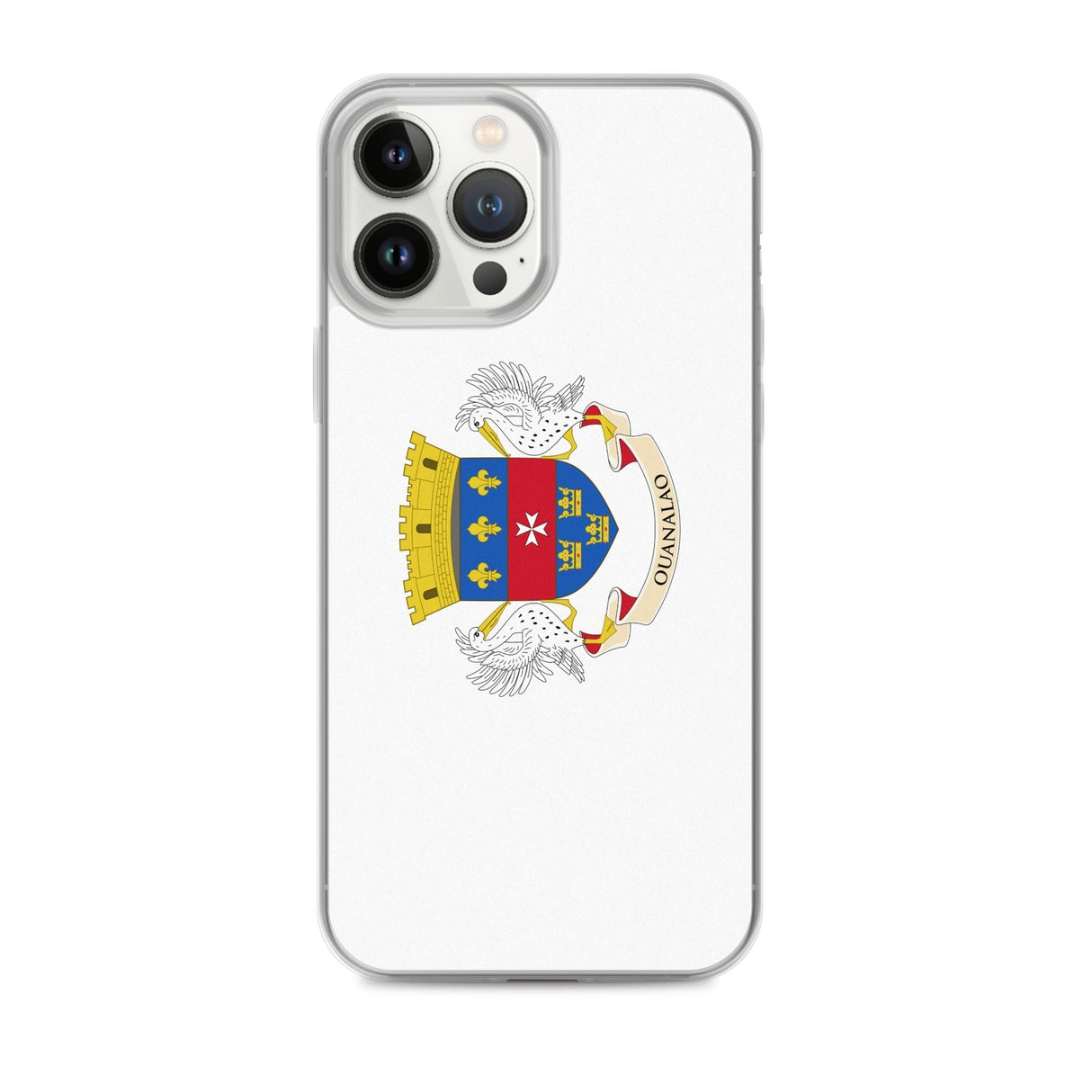 Coque de télephone drapeau saint-barthélemy - pixelforma