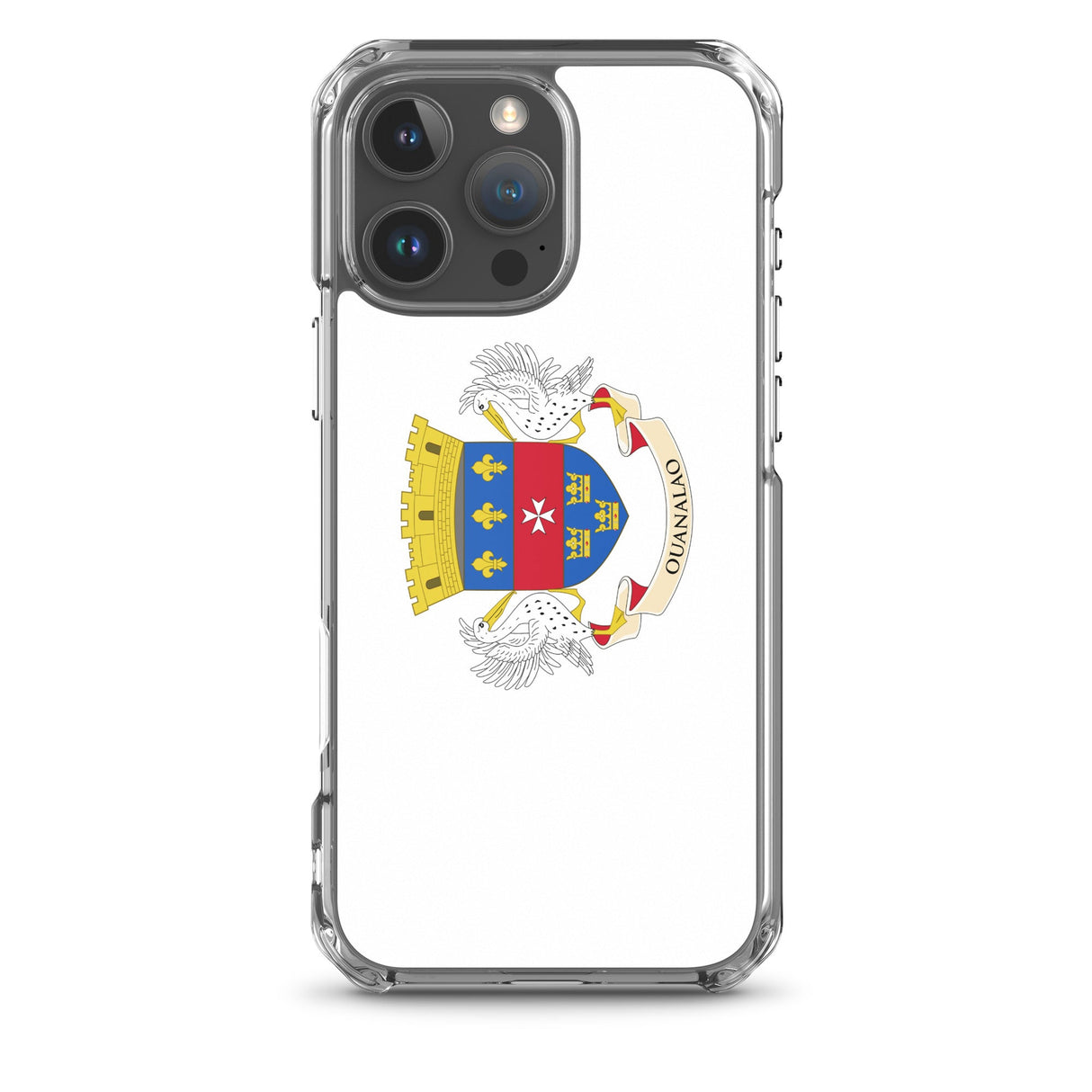 Coque de télephone drapeau saint-barthélemy - pixelforma