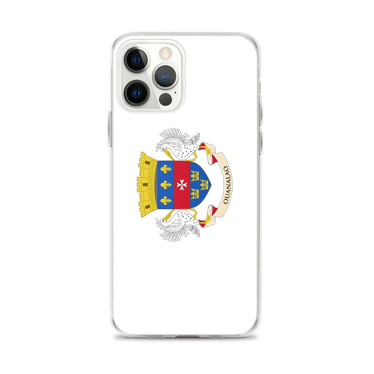 Coque de télephone drapeau saint-barthélemy - pixelforma