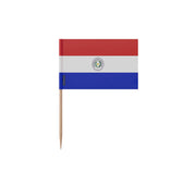 Cure-dents drapeau paraguay plastique adhésif bâton bambou