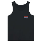 Débardeur drapeau paraguay en broderie - pixelformaflag