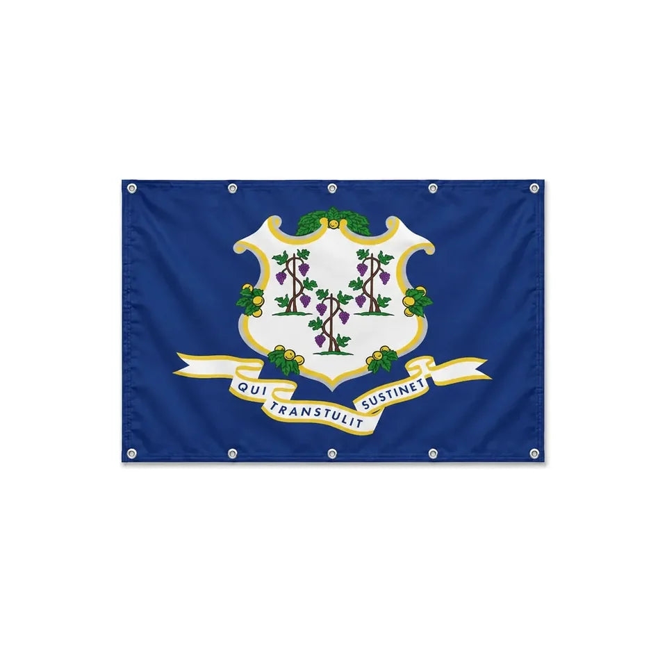 Drapeau du Connecticut format S en polyester avec dix œillets
