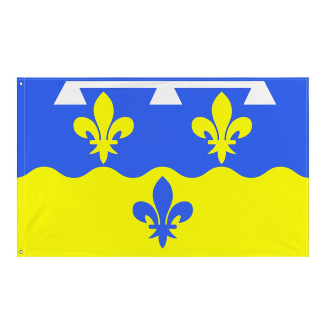 Drapeau de la Loire en plusieurs tailles 100 % polyester Imprimer avec Double ourlet - Pixelforma 