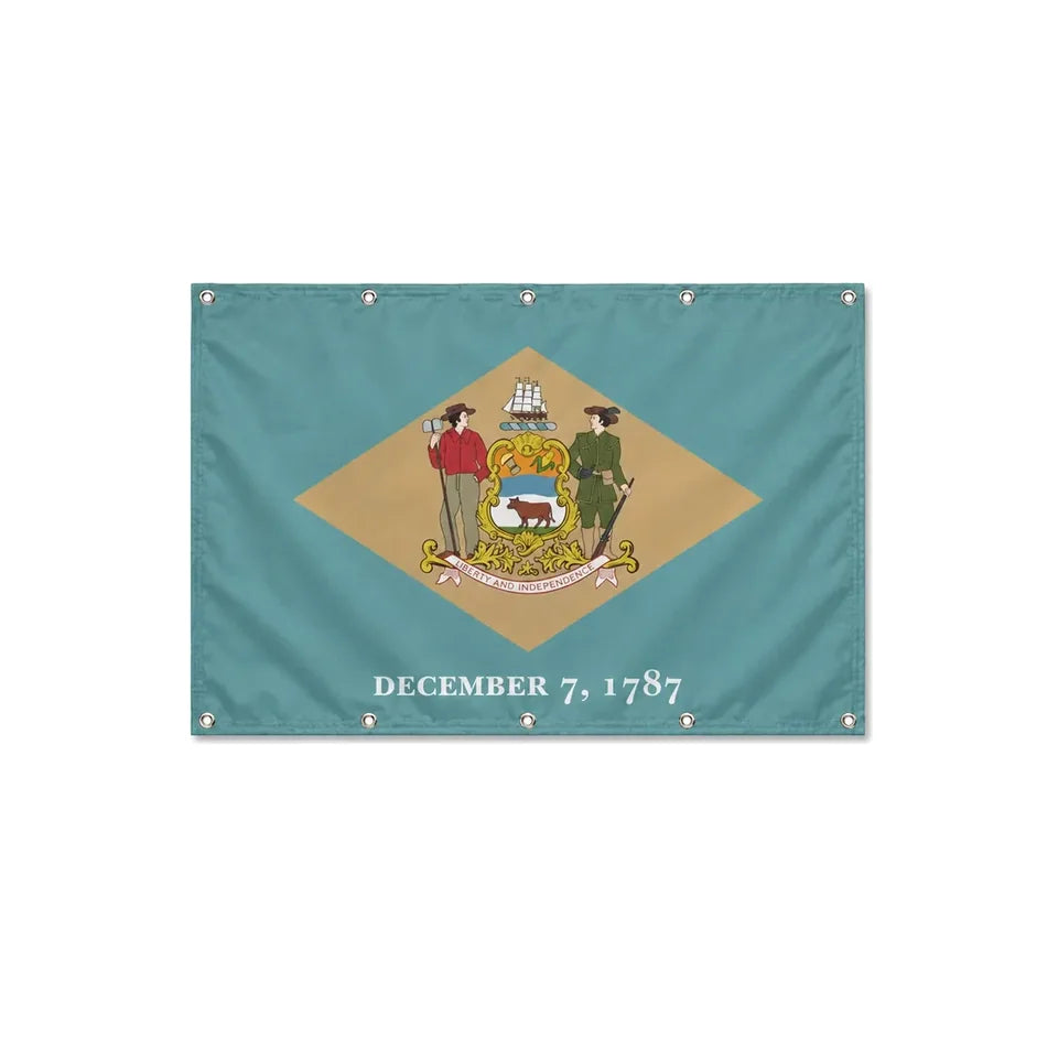 Drapeau du Delaware format S en polyester avec dix œillets