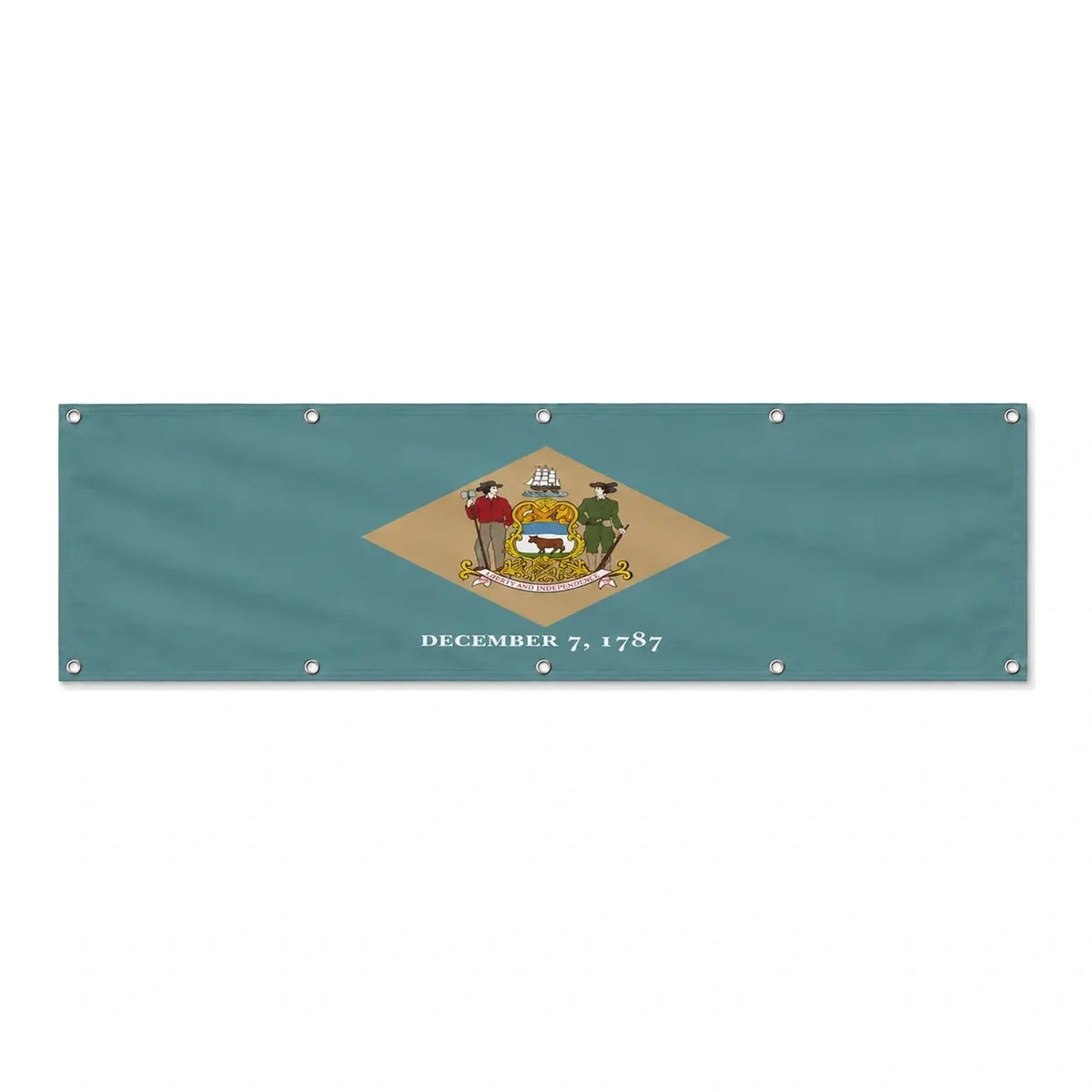 Drapeau du Delaware grand format XL en polyester avec dix œillets