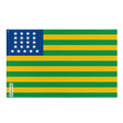 Drapeau du premier républicain polyester résistant plusieurs modèles