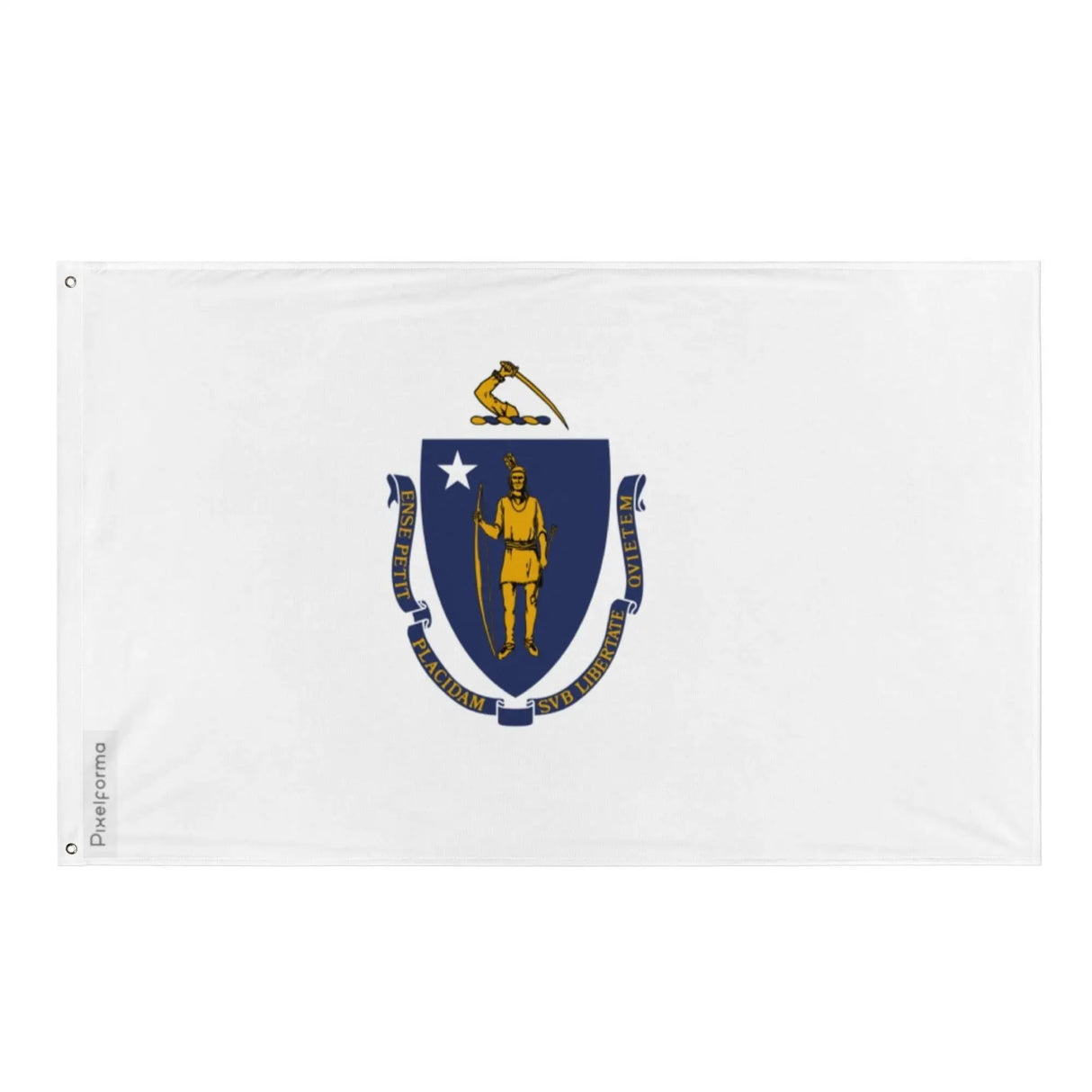 Drapeau massachusetts polyester résistant œillets à gauche