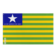 Drapeau piauí polyester résistant plusieurs modèles