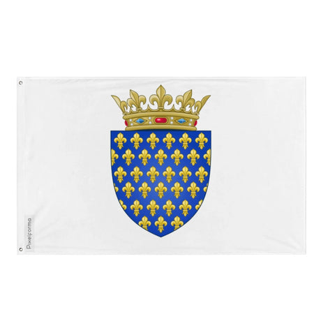 Drapeau rois de france ancien en polyester ourlets résistants