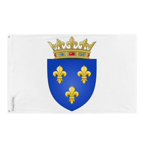 Drapeau Rois de France après 1376 en plusieurs tailles 100 % polyester Imprimer avec Double ourlet - Pixelforma 