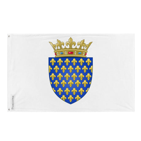 Drapeau Rois de France avant 1376 en plusieurs tailles 100 % polyester Imprimer avec Double ourlet - Pixelforma 