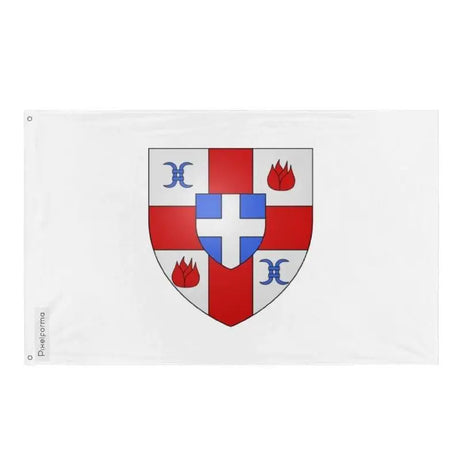 Drapeau saint-georges polyester résistant œillets à gauche