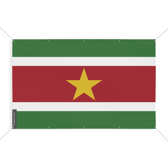 Drapeau suriname 10 oeillets en plusieurs tailles (s) - pixelforma