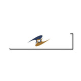 Drapeau union économique eurasiatique 10 oeillets en plusieurs tailles (xl) - pixelforma