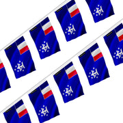 Guirlande drapeau antarctique française en polyester à suspendre