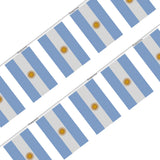 Guirlande drapeau argentine - pixelforma