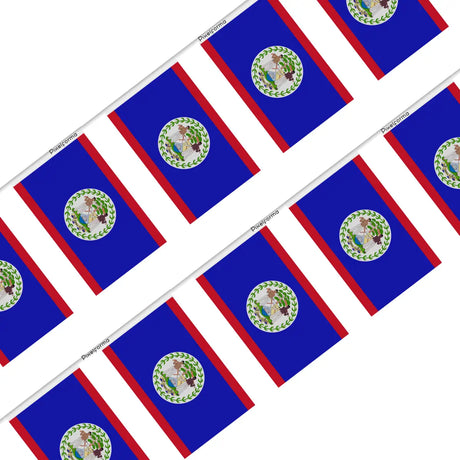 Guirlande Drapeau Belize en Polyester - Pixelforma 