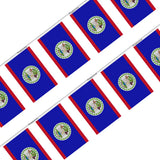 Guirlande drapeau belize - pixelforma