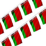 Guirlande drapeau biélorussie en polyester à accrocher