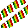 Guirlande drapeau bolivie polyester usage extérieur prolongé