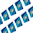 Guirlande drapeau dakota du sud en polyester résistant