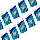 Guirlande drapeau dakota du sud en polyester résistant