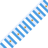 Guirlande Drapeau de l'Argentine en plusieurs tailles - Pixelforma